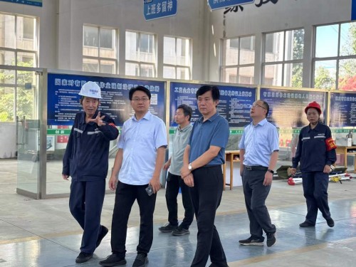 2025年7月27日山東華電集團(tuán)新能源專家領(lǐng)導(dǎo)考察調(diào)研