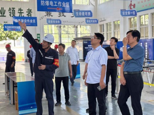 2025年7月27日山東華電集團(tuán)新能源專家領(lǐng)導(dǎo)考察調(diào)研