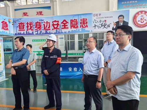 2025年7月27日山東華電集團(tuán)新能源專家領(lǐng)導(dǎo)考察調(diào)研