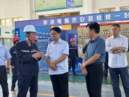 2025年7月27日山東華電集團(tuán)新能源專家領(lǐng)導(dǎo)考察調(diào)研