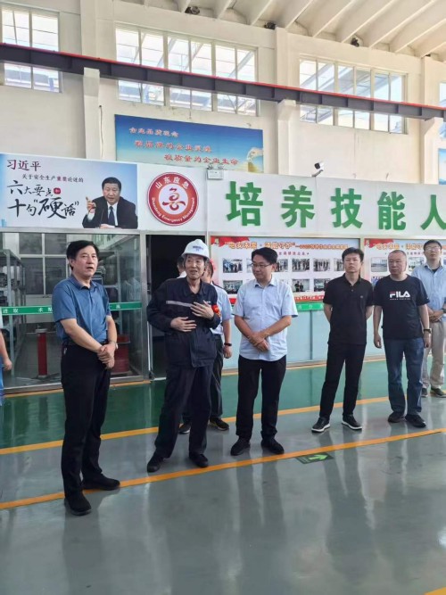 2025年7月27日山東華電集團(tuán)新能源專家領(lǐng)導(dǎo)考察調(diào)研