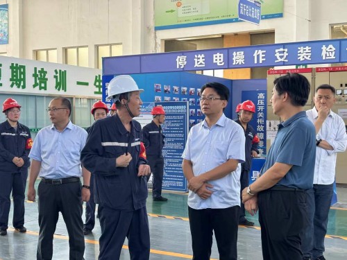2025年7月27日山東華電集團(tuán)新能源專家領(lǐng)導(dǎo)考察調(diào)研