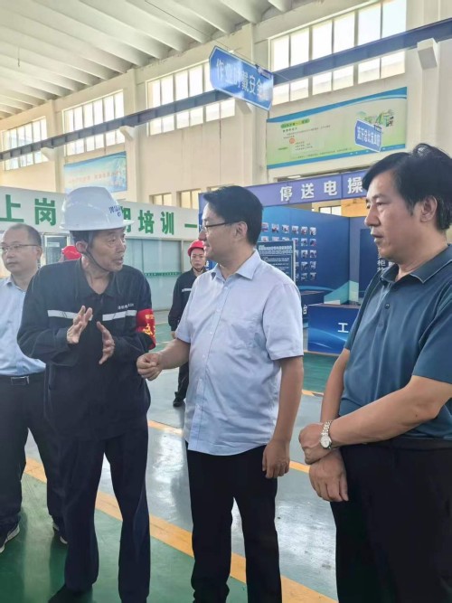 2025年7月27日山東華電集團(tuán)新能源專家領(lǐng)導(dǎo)考察調(diào)研