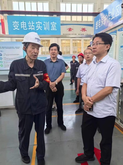 2025年7月27日山東華電集團(tuán)新能源專家領(lǐng)導(dǎo)考察調(diào)研