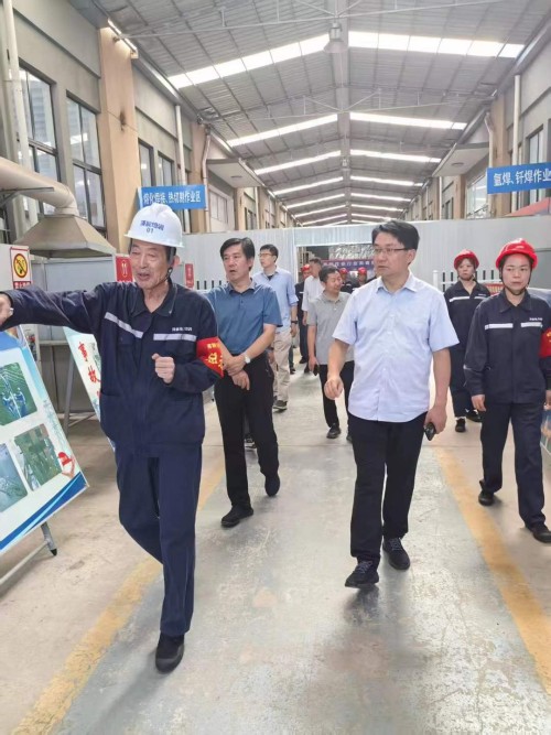 2025年7月27日山東華電集團(tuán)新能源專家領(lǐng)導(dǎo)考察調(diào)研