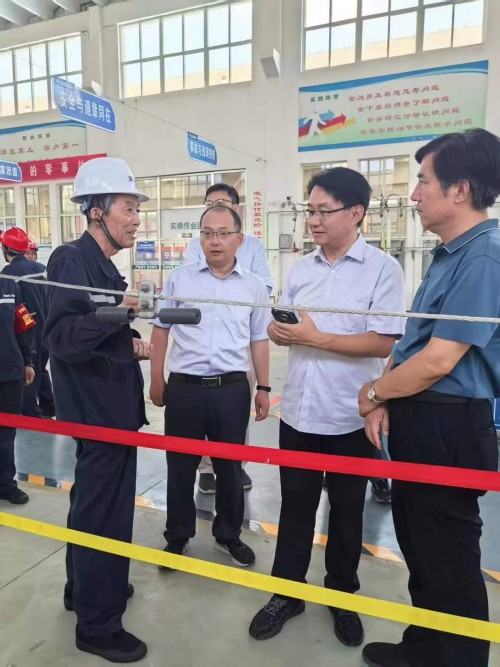 2025年7月27日山東華電集團(tuán)新能源專家領(lǐng)導(dǎo)考察調(diào)研